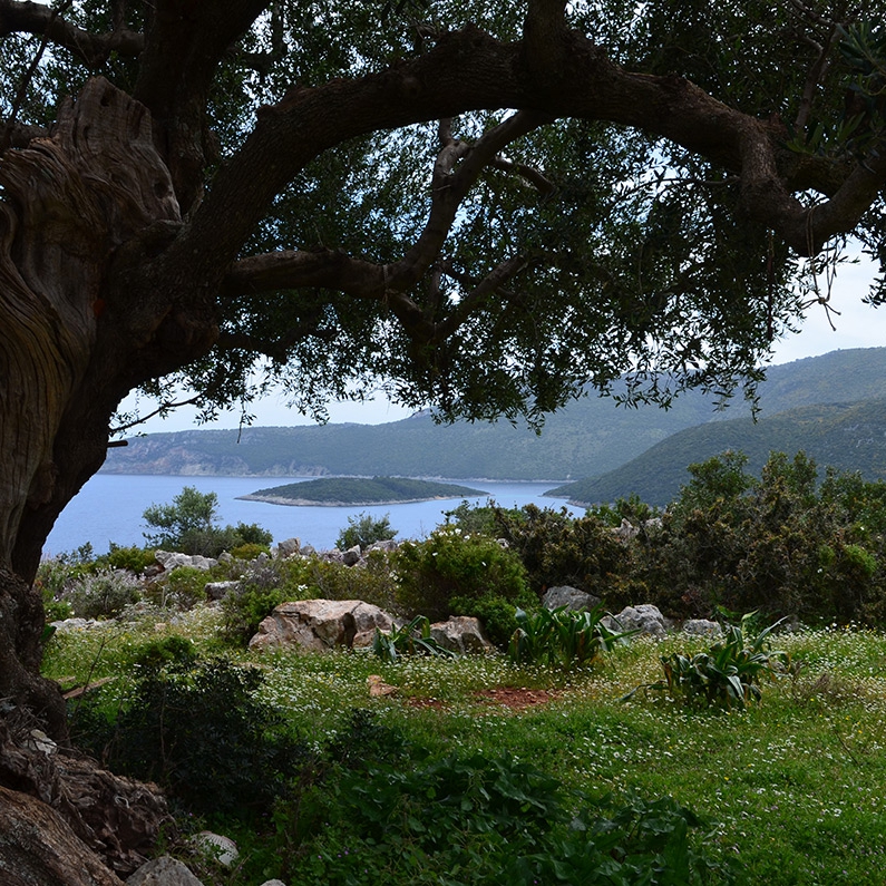 Catamaran Holidays in the Greek Island