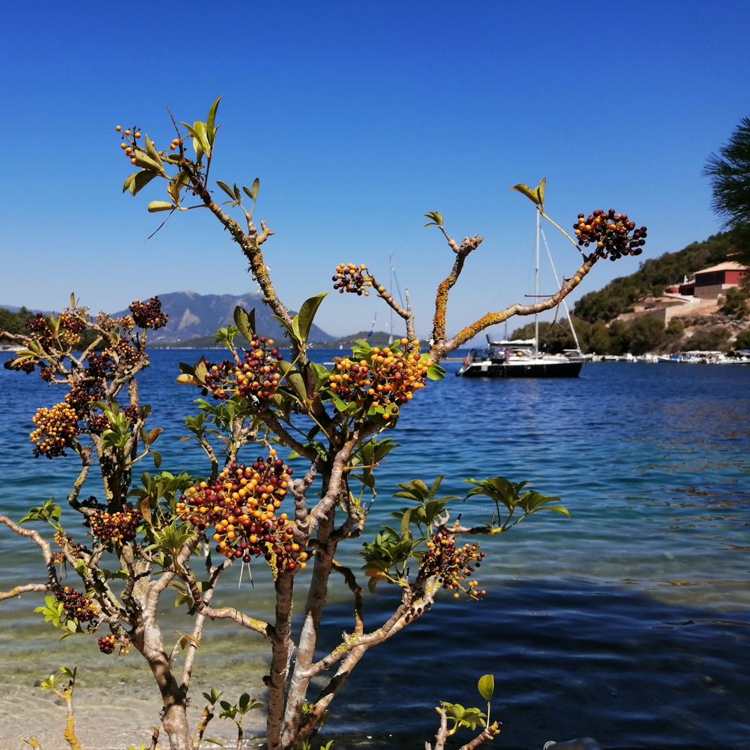 Walking trails Meganisi Island